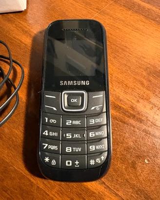 Cellulare Samsung
