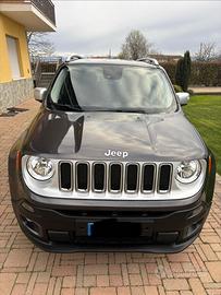 Renegade 1.6 2016
