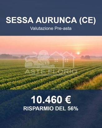 Immobile in asta di 10615 m² a Sessa Aurunca