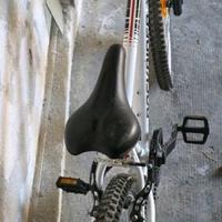 bici ragazzo decathlon 