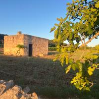 Autentica Lamia in Pietra con Volte Valle d'Itria