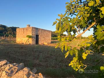 Autentica Lamia in Pietra con Volte Valle d'Itria