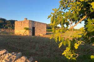 Autentica Lamia in Pietra con Volte Valle d'Itria