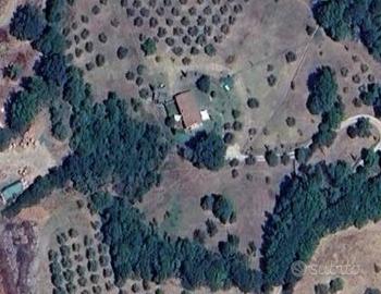 Casa singola - Campagnatico