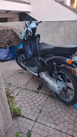 scarabeo 50cc
