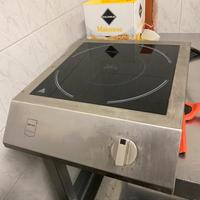 Piastra induzione portatile giardino casa