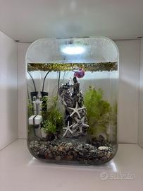Acquario biOrb 15 litri completo di accessori