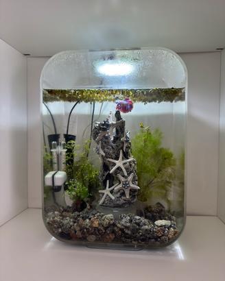 Acquario biOrb 15 litri completo di accessori