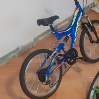 bicicletta bambino 20 pollici