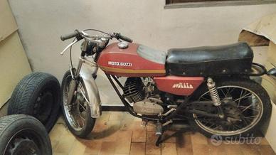 Moto Guzzi nibbio 50