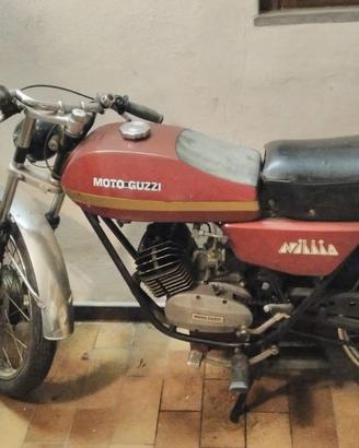 Moto Guzzi nibbio 50