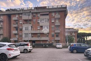 3 LOCALI A COLLESALVETTI