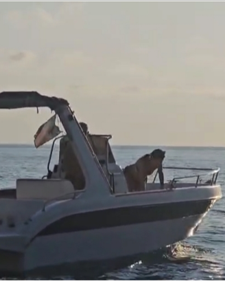 Manò marine 22.50 sportfish