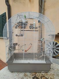 Gabbia Canarini, Cocorite, Uccelli esotici