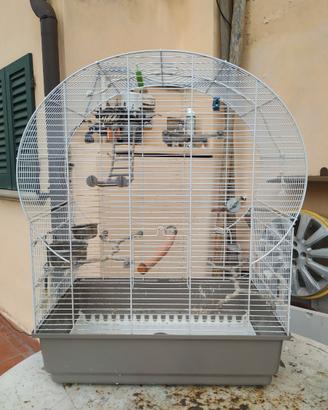 Gabbia Canarini, Cocorite, Uccelli esotici