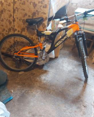 bicicletta sportiva 