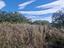 Immagine 8