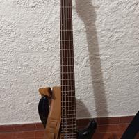 Basso 5 corde 
