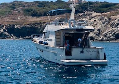 Acm Dynasty 43