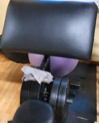 panca scott rigenerata