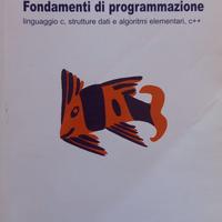 Fondamenti di programmazione 