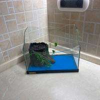 Acquario per tartarughe