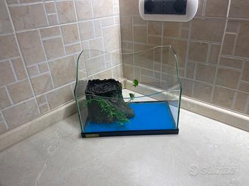 Acquario per tartarughe