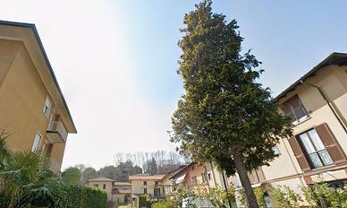 Bilocale Varese con Terrazzo Libero Subito