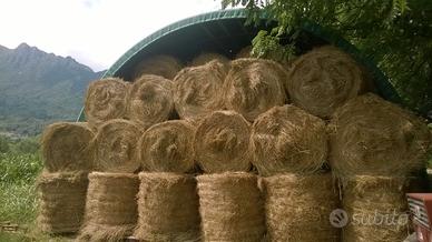 Fieno al quintale