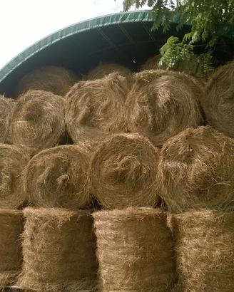 Fieno al quintale