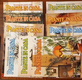 piante in casa