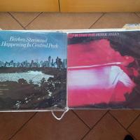 Coppia vinili funk/sul - pop