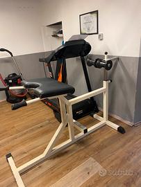 Hyperextension Technogym