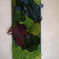 Quadro muschio stabilizzato