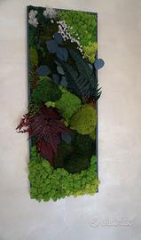 Quadro muschio stabilizzato
