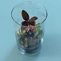 Terrario Artigianale Esclusivo -Zen Genchimyo