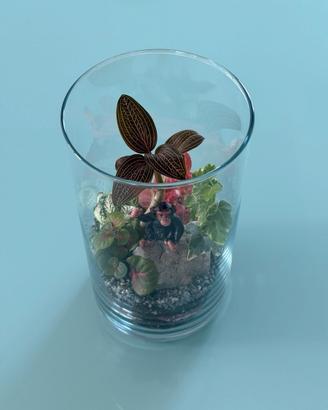 Terrario Artigianale Esclusivo -Zen Genchimyo