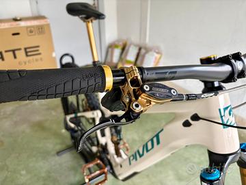 Pivot shuttle Am pro