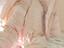 Immagine 6