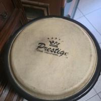 Conga Prestige