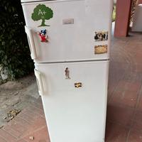 frigo + congelatore 