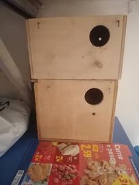 cova per pappagalli ( nido)