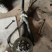 monoforcella vespa et2