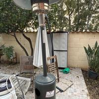 Fungo da giardino perfettamente funzionante