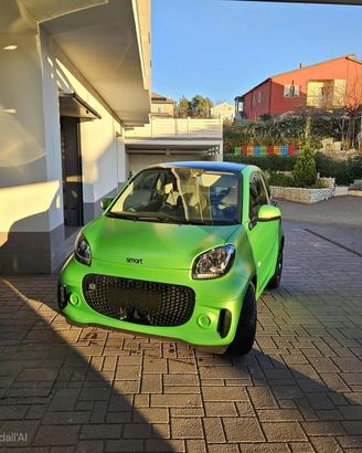 Smart eq esemplare unico