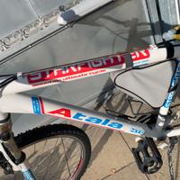 Mountain bike atala