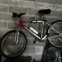 Bicicletta Pro Action