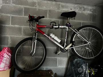 Bicicletta Pro Action