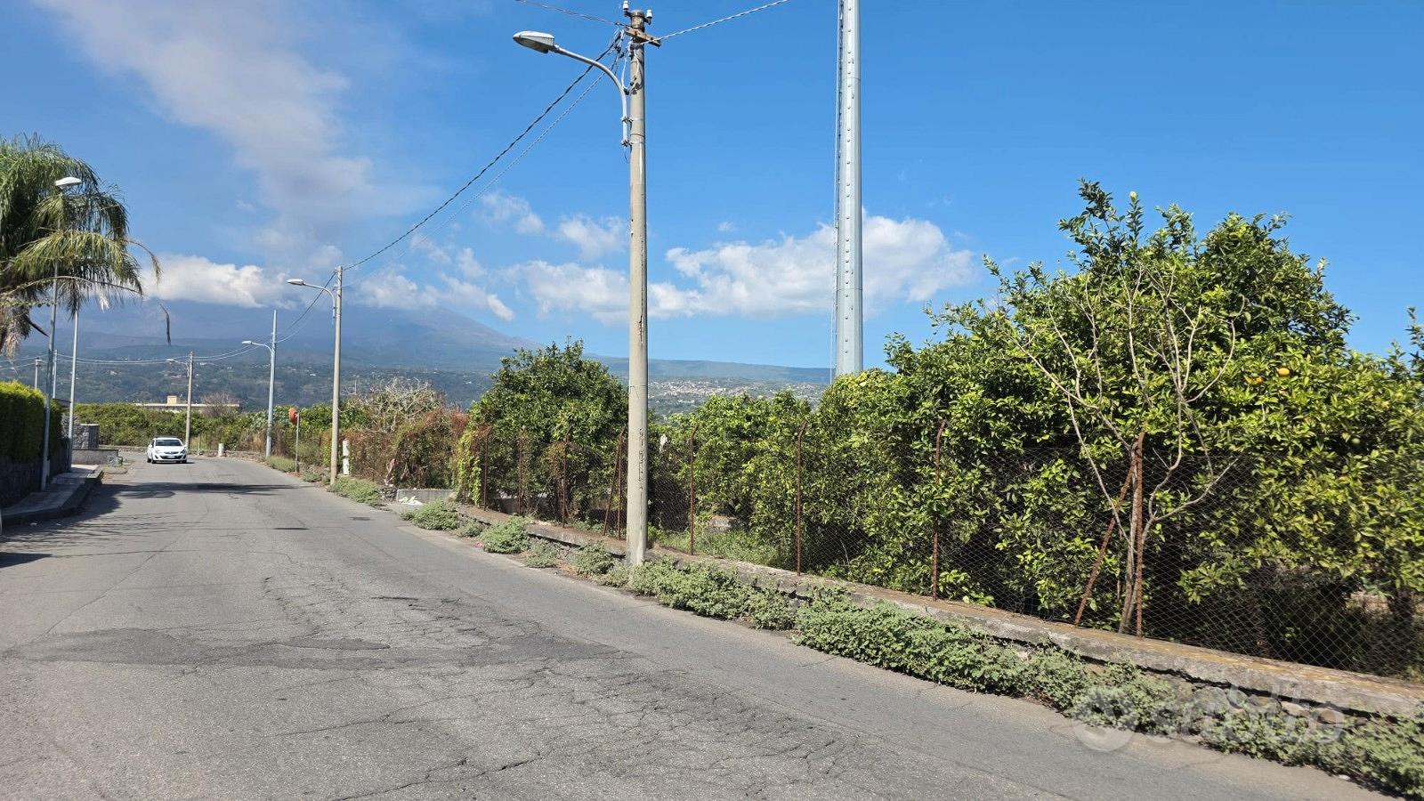 Giarre, tre lotti di terreno - Altro