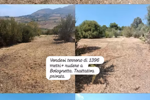 Terreno agricolo